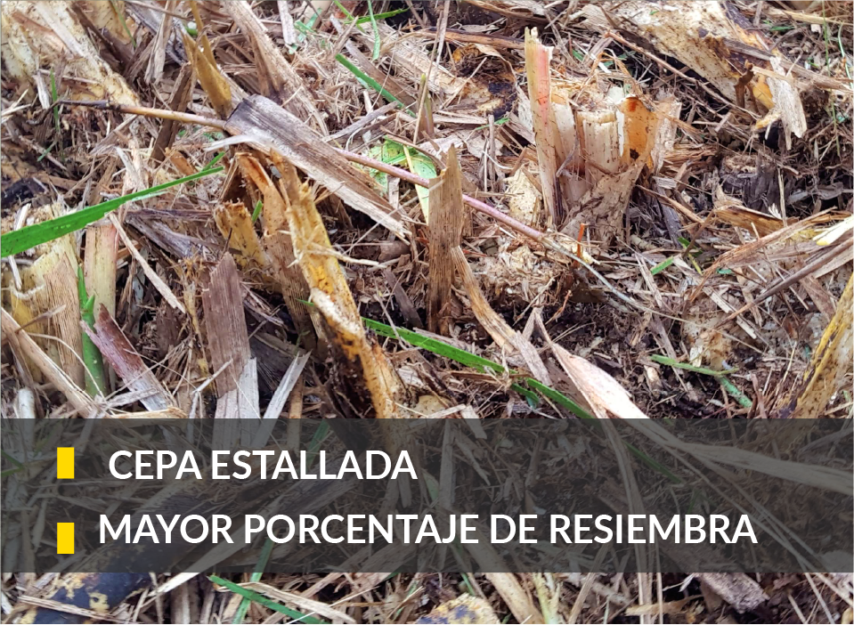Recurso 121